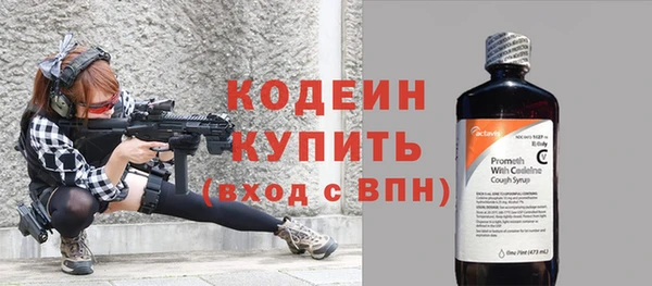 прущие крисы Рославль